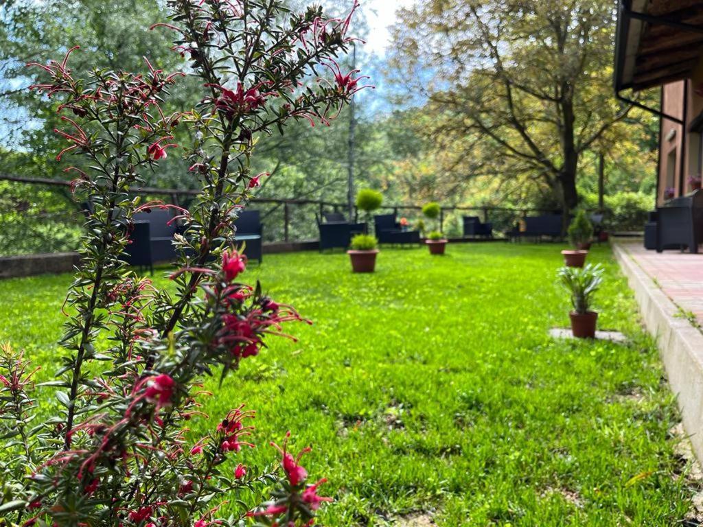 Agriturismo Tre Elle Acri エクステリア 写真